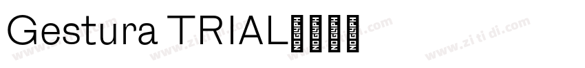 Gestura TRIAL字体转换